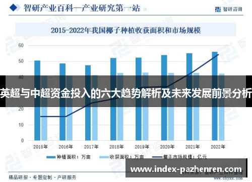 英超与中超资金投入的六大趋势解析及未来发展前景分析