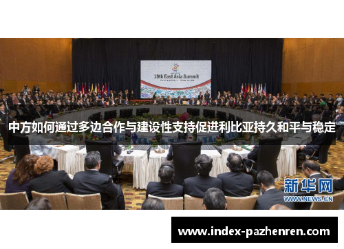 中方如何通过多边合作与建设性支持促进利比亚持久和平与稳定