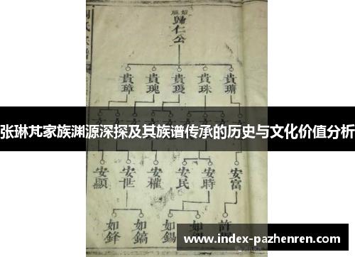 张琳芃家族渊源深探及其族谱传承的历史与文化价值分析