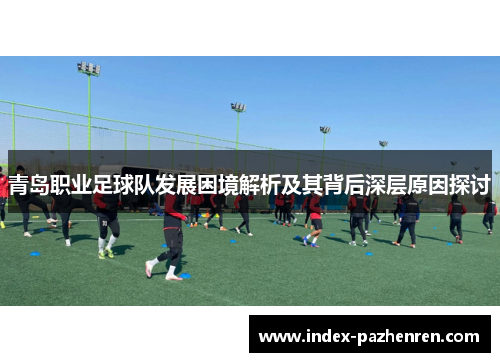 青岛职业足球队发展困境解析及其背后深层原因探讨