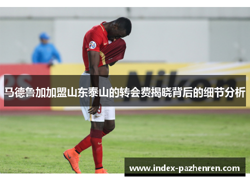 马德鲁加加盟山东泰山的转会费揭晓背后的细节分析