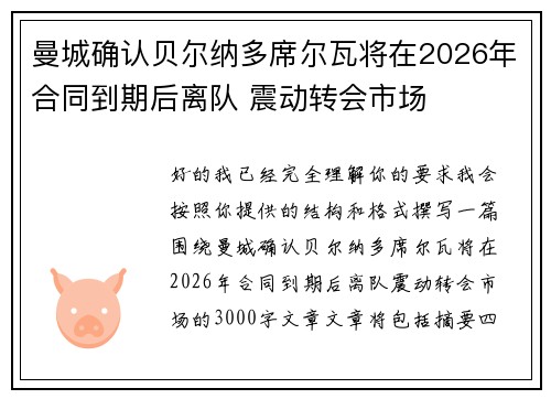 曼城确认贝尔纳多席尔瓦将在2026年合同到期后离队 震动转会市场 曼城确认贝尔纳多席尔瓦将在2026年合同到期后离队 震动转会市场